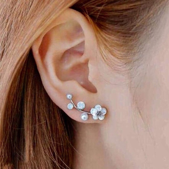 Hypoallergenic Crawling Earring‎ Silver Color NWT - Picture 1 of 5